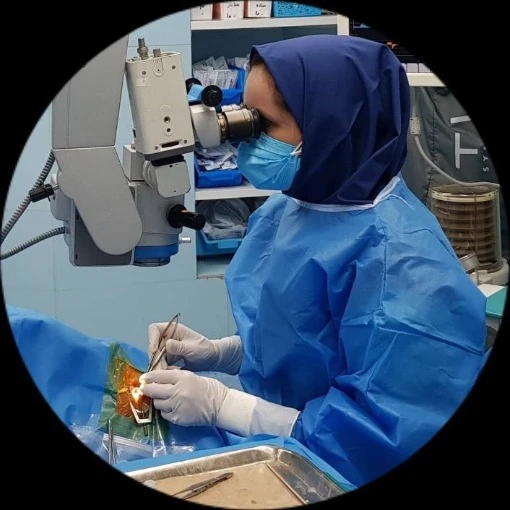 مریم حاجی زاده